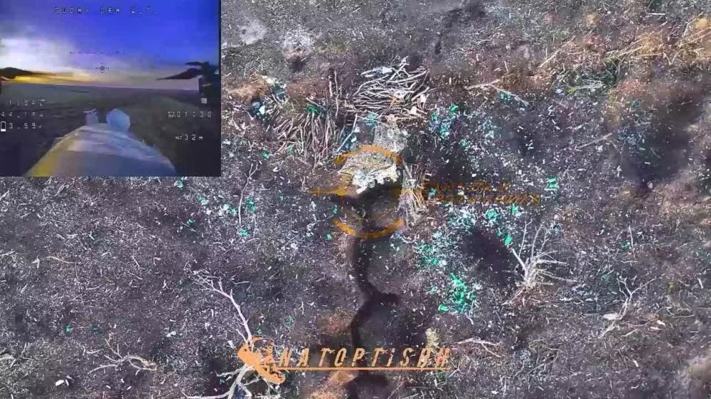 Angry Birds ��-������. �������� FPV-����� �������� ����������� ����� �������� "������" ����� � ���������� � ������� �� ��������� �����������