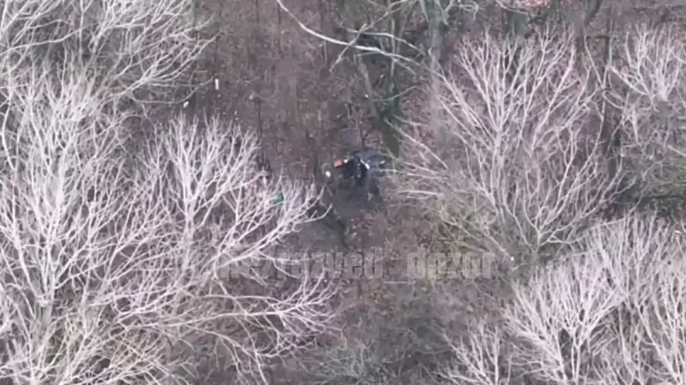 � ������������ ���� ����� ����������