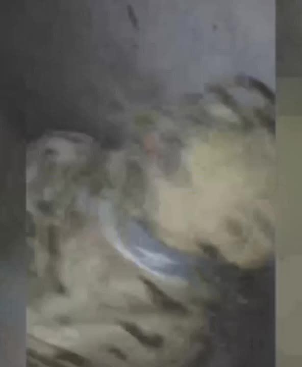 Бывшие бойцы ВСУ берут в плен ВСУ. Перешедшие на нашу сторону украинцы, которые теперь воюют в батальоне имени Максима Кривоноса взяли в плен двух грузинских наемников