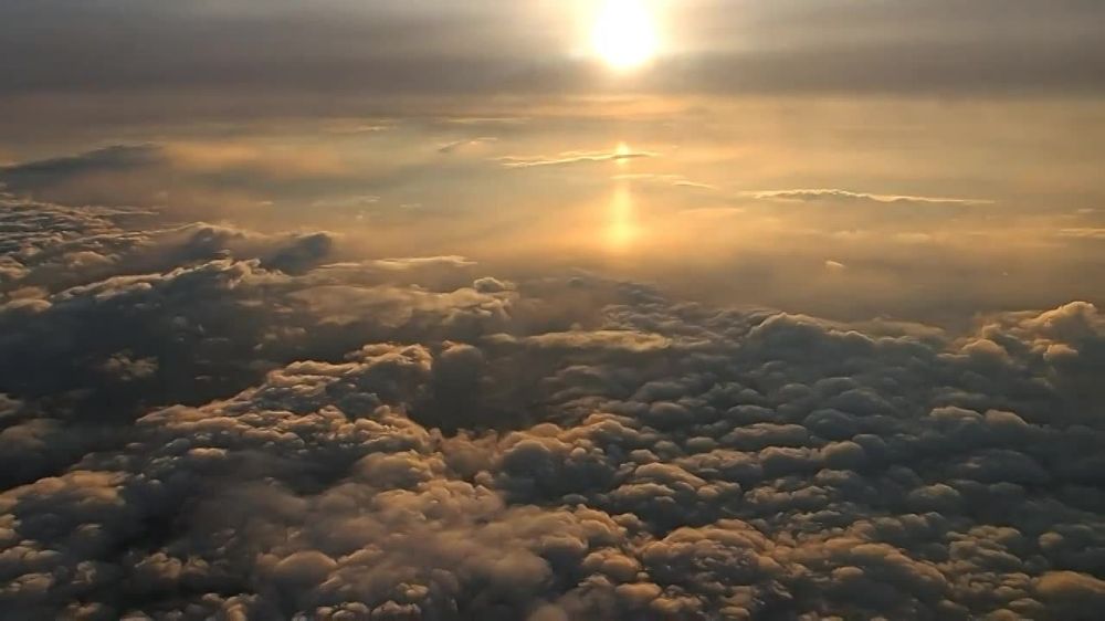 ������� ����! ����������� ���!