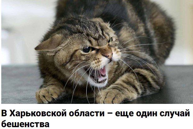 ��������� ���������������� � ����������� �������