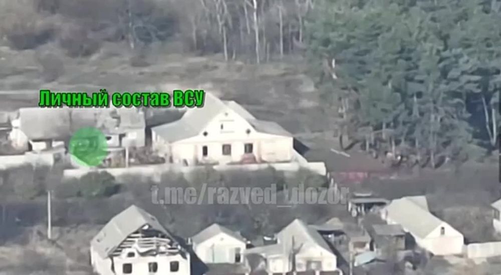 Андрей Руденко: Операторы FPV-дронов 6 армии ЗВО выявляют и отправляют "подарки" в укрытия ВСУ на Купянском направлении