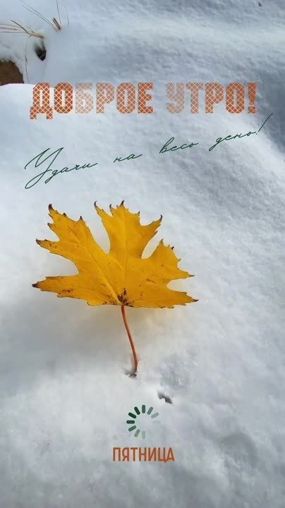 � ������ �����! ��������� ���!