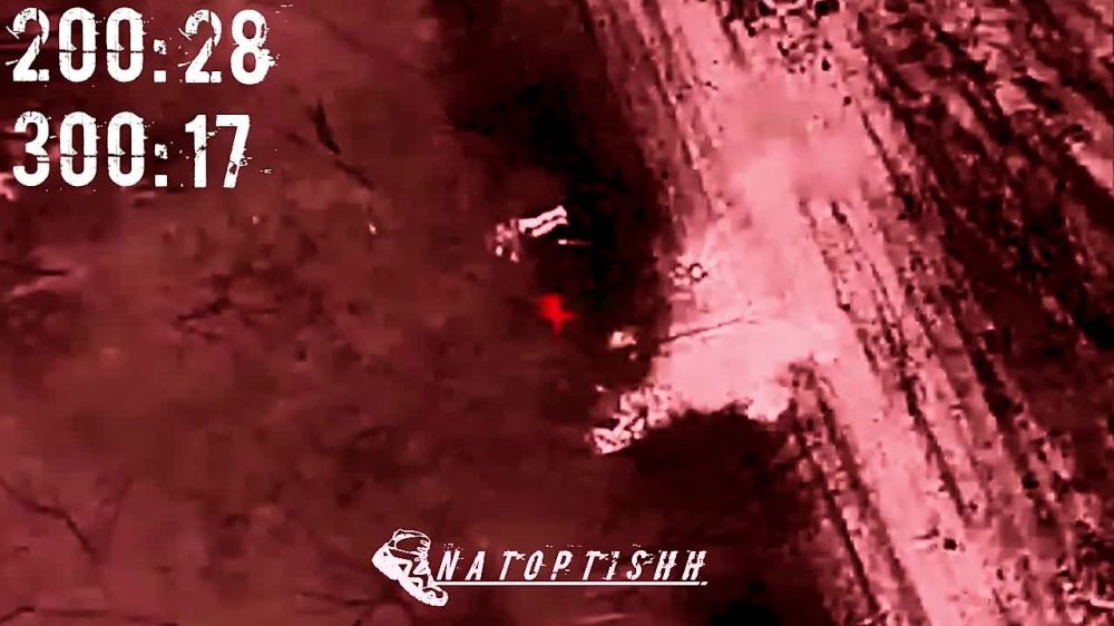 �������� ���� �������� ����������� ����� "����", ��� ������, ����� � ������������ ����������� ���������� �� ��������� �����������