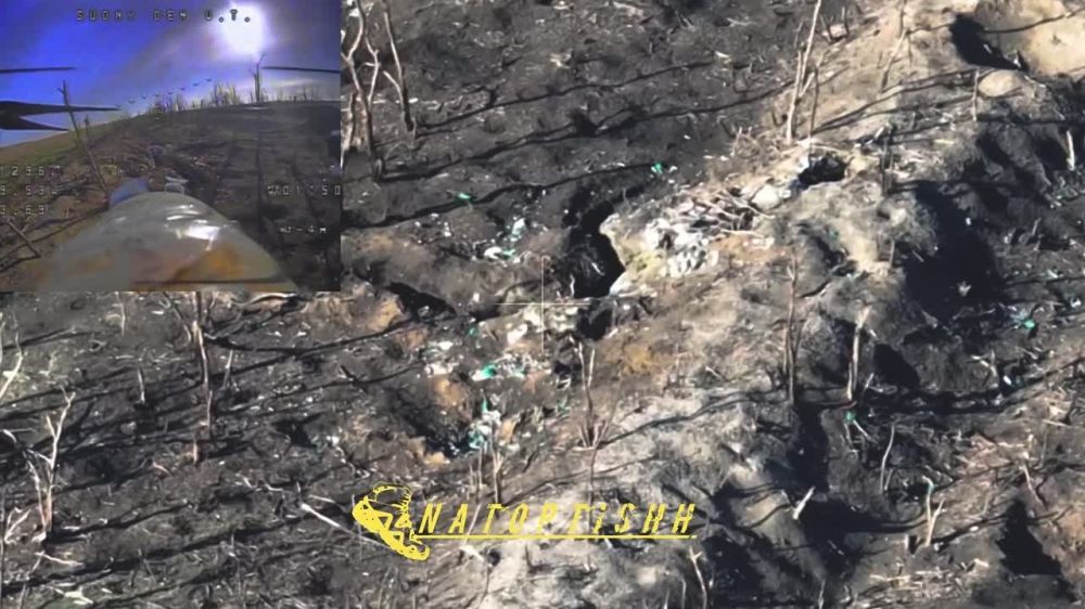 �������� ���� �������� ����������� ����� �������� ������� �������� � ������� ������� ��� �� ��������� �����������