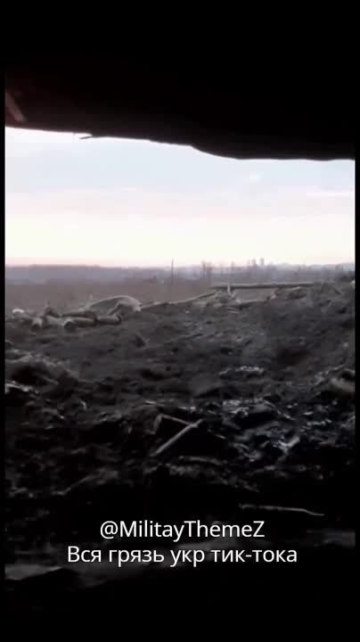 ������� ������� �� ����� �������, �������� ���-2 ���������� ������������ � ������ ���� ������������� �� ��������� �����������