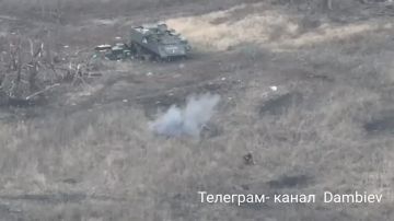 :      M113     ..   