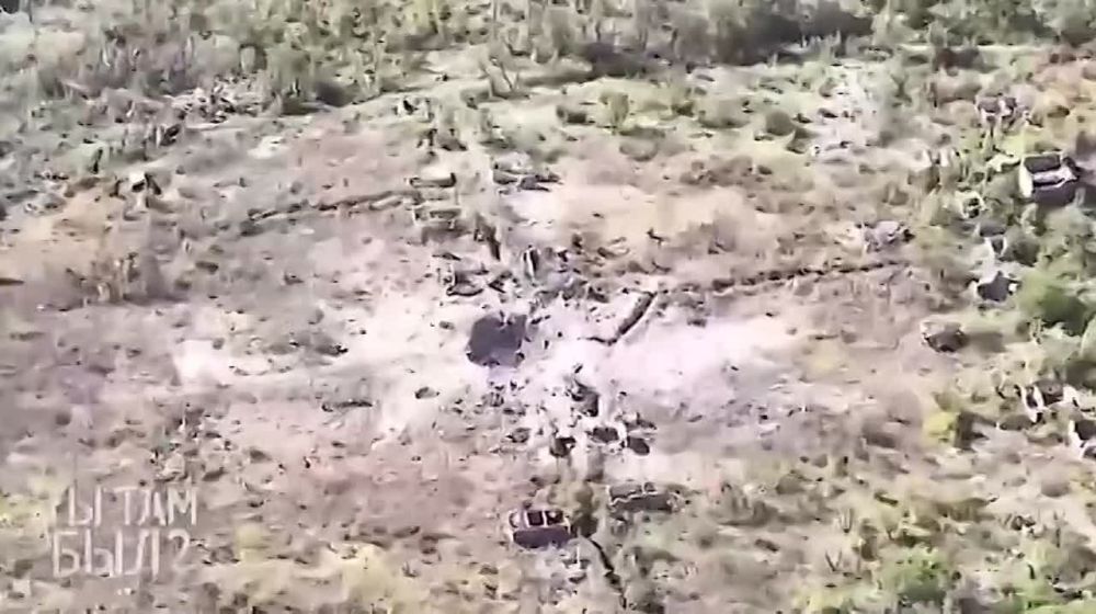 "���������� ����������� � �������� ����������"