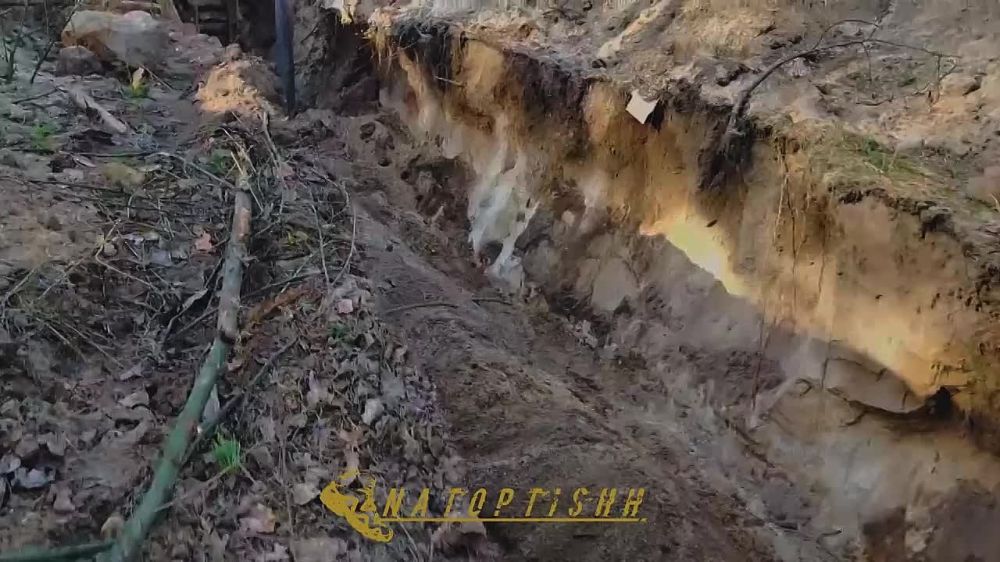 ������ �������� - ��������� �������� �������� 20 ����� �������� ����������� �����