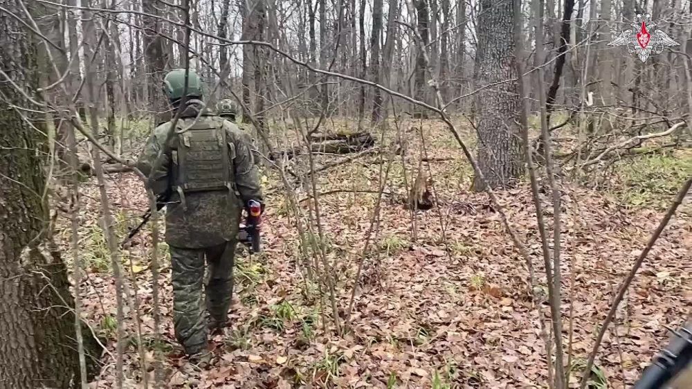 Кадры боевой работы российских военнослужащих на Купянском направлении фронта