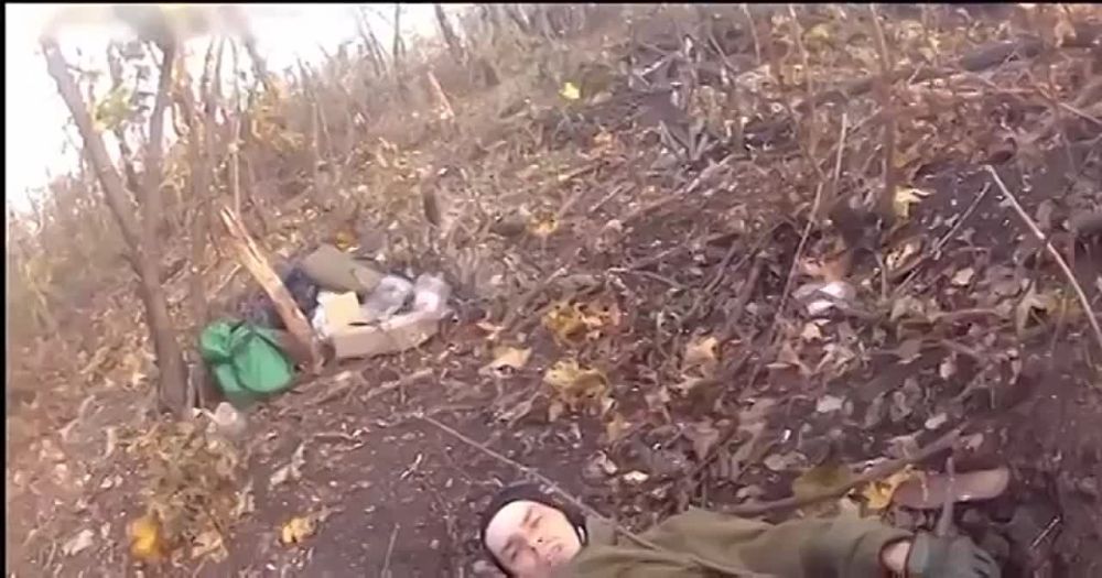 ����� �������� �������!. �������� �� ����������� � ������ ������ ��������, ���� ����� ���������� ��������� ������ �������� � ������������