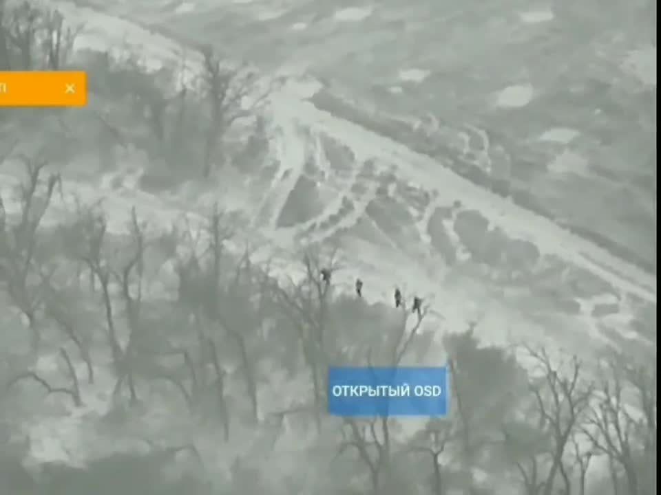 Группировка войск «Запад» кошмарит пехоту ВСУ на Купянском направлении