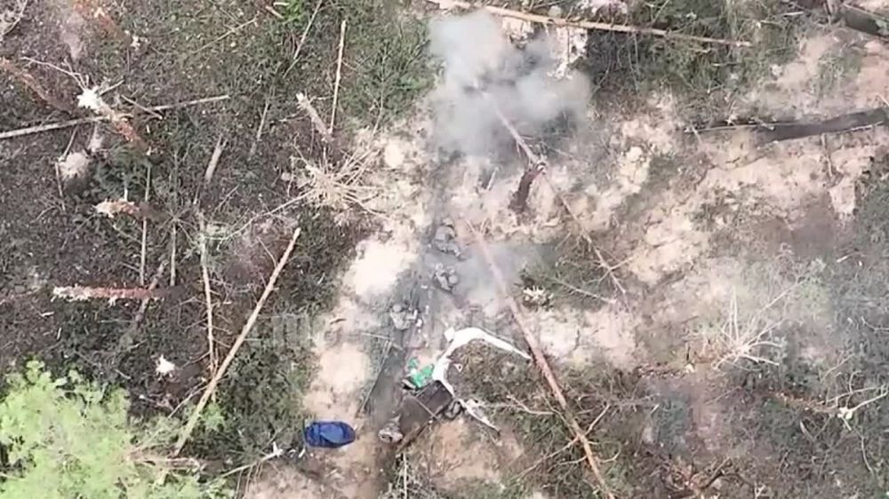 Харьковская область. Операторы БЛА 138 омсбр ЗВО устроили настоящий ад солдатам ВСУ, забросав их позиции ВОГами и гранатами с "Мавиков"