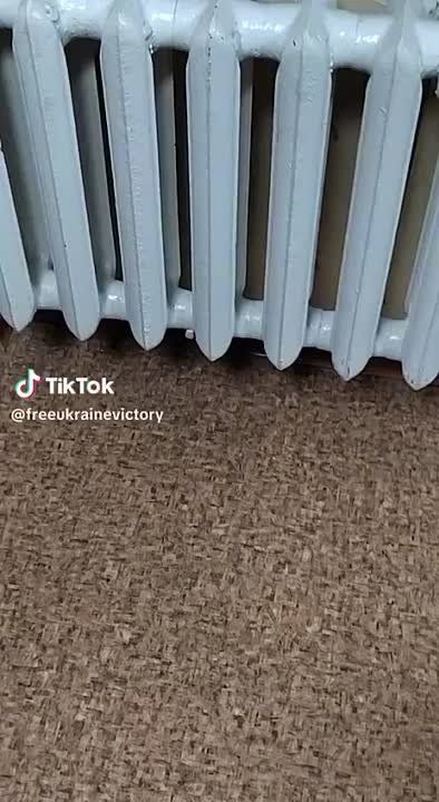 �������� �������� �������� 86-�������� �������