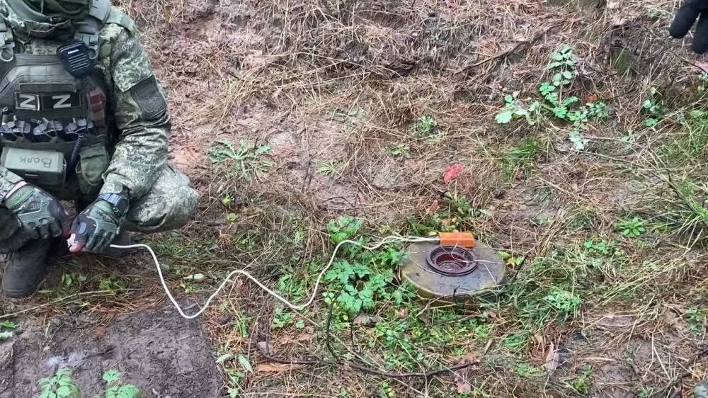 ���������-�������� ������������� ����������� ����� ������ �� ��������� ����������� � ���� ���������� ������ ����� ��������...