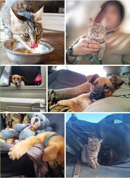 ��������� ��������. ��� ������ � 155 ������� ������� ������: ����, ��� � �������