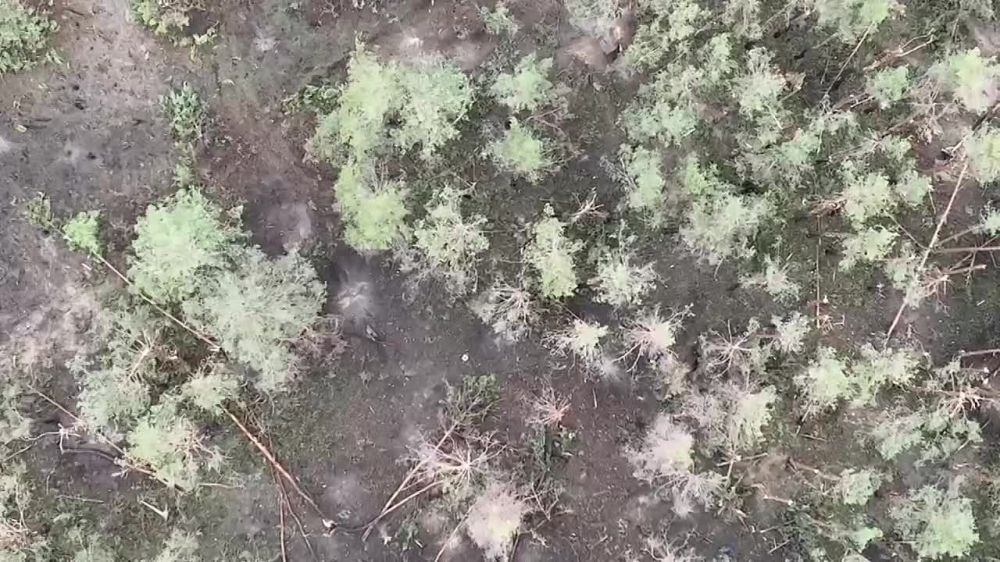 ����� �� ���� �����������, ����� �� 138 �������������� ������� �������� �����, ��� ������������ �� ������ �� ��������� �����������