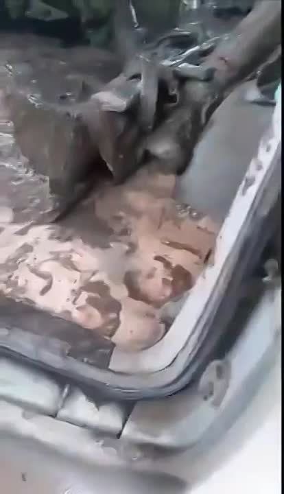 ����� � ��� �������. ������� ��� �������������� �� ��������� �����������