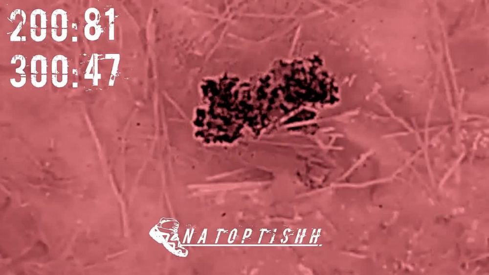 �������� ���� �������� ����������� ����� ������� ��������� ������ ���������� �� ��������� �����������