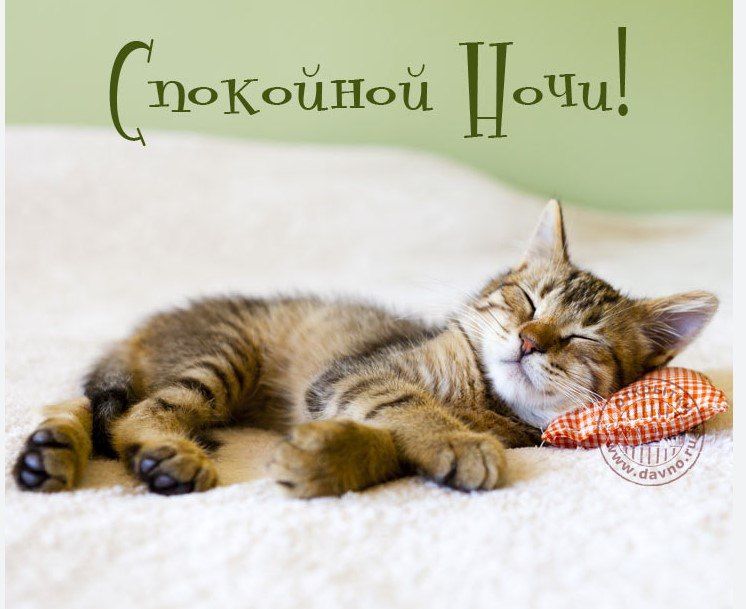 ������ � ������� ����! ��������� ����!