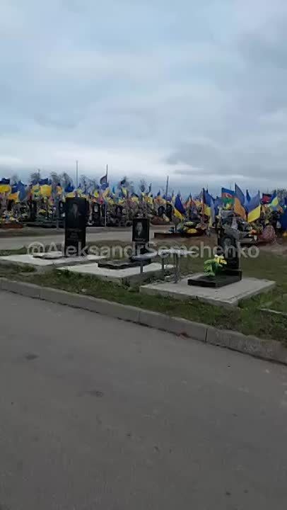 ���� ������� ���������� � �������� ������