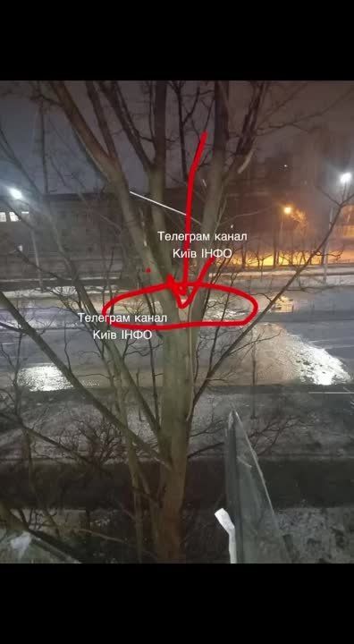 Тревога ревела на территории 404 с позднего вечера и до утра