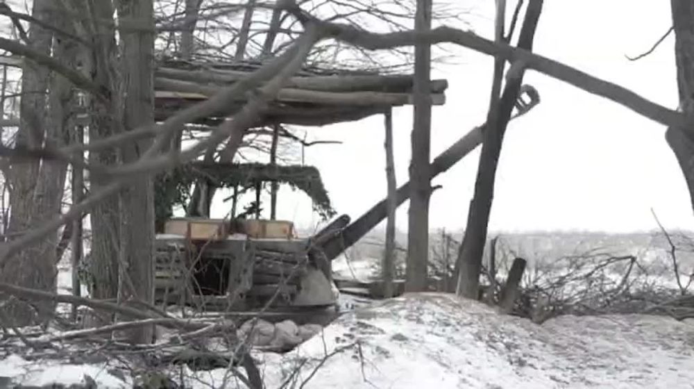 �� �������� ������ 82 ���������� �������������� ��������� ���� �����, �������� � ����