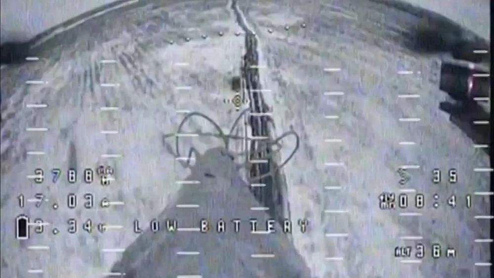 ����������� ��� ���������� �������������� ����������� �������