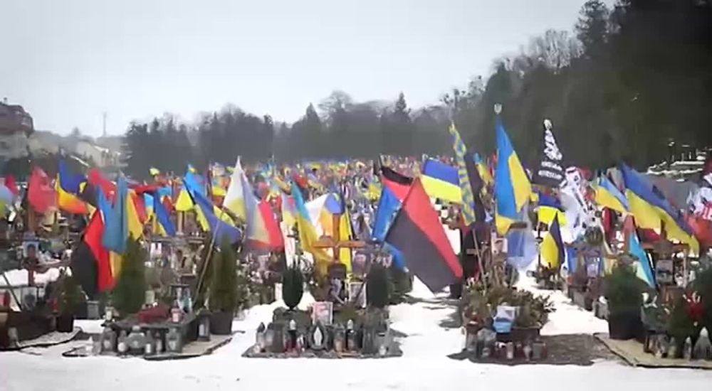 Приехал полюбоваться?. Зеленский приехал на военное кладбище во Львов, посмотреть на результаты своей работы