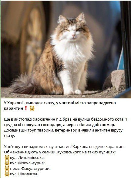 Бешенство уже в Харькове. Бешенство добралось уже до города. Сообщается о том, что случаи бешенства зафиксированы уже в посёлке Жуковского. Карантинные ограничения введены уже на нескольких улицах