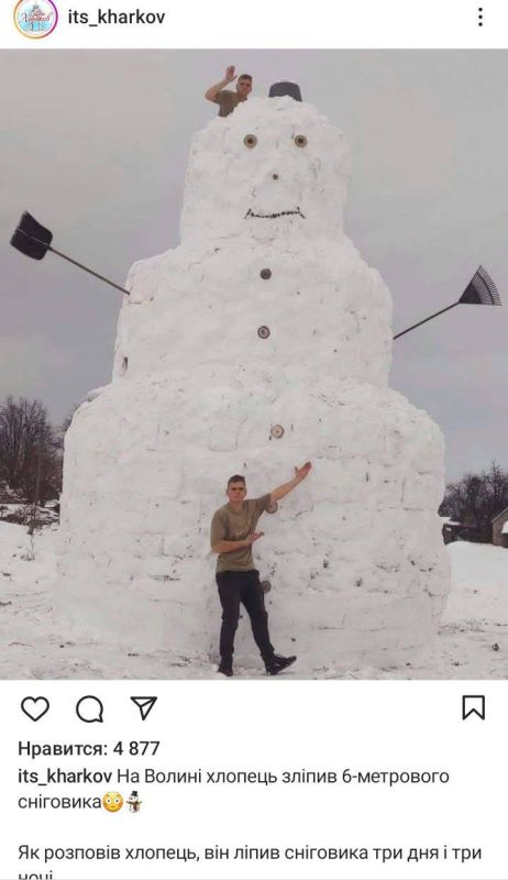 В украинском сегменте Instagram* произошёл жабогадюкинг — Первый Харьковский