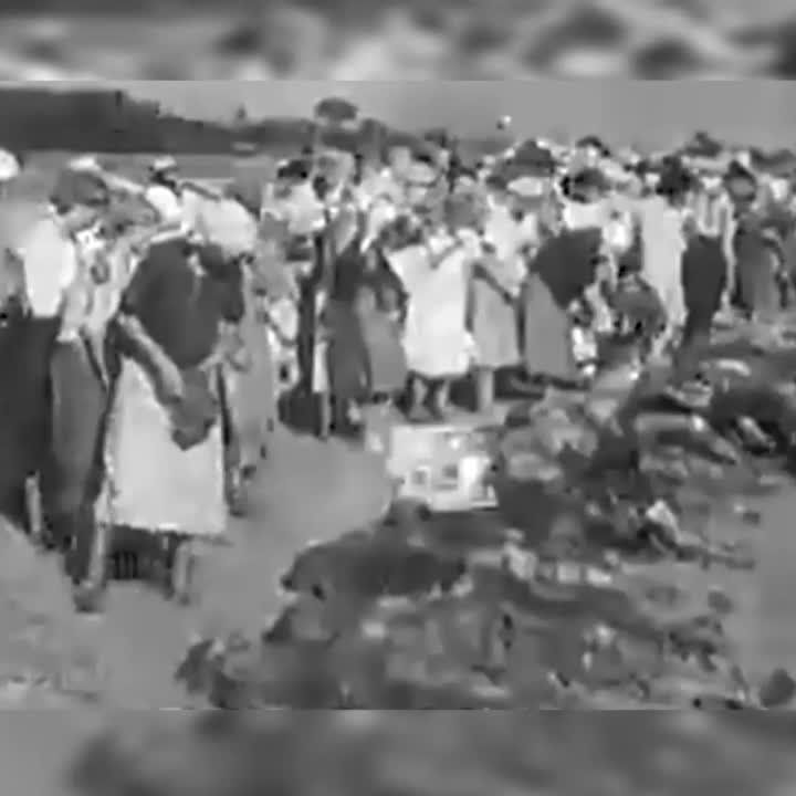 ������� ������: 80 ��� ����� � �������� ��������� ������ �������� ������� ��� �������� �������������-���������