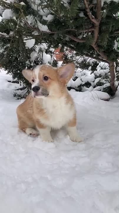 � ������ �����!. ������ � �������� �� �������: