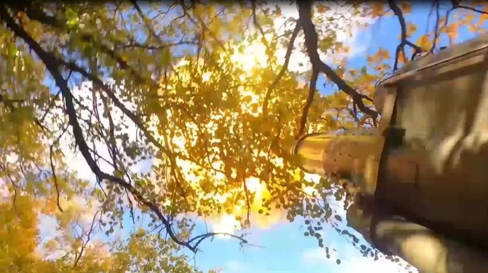 ��: ���������� �� ������ ������������� ��������� ������ ��� �� ��������� �����������