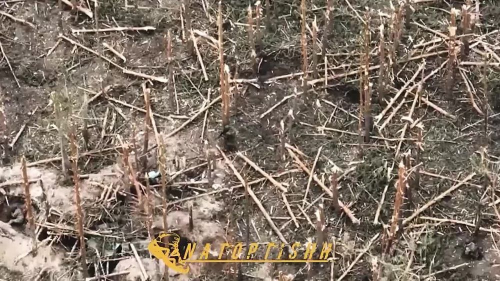 �� ������ ���� � ���� �������� ����� ����, ��� "���������� �� �����" 148 ��� �������� ����������� ����� �������� ������� ����� ����������, ���� ���������� ��� ���� ���������, ����� � ������ ��� �� ��������� �����������