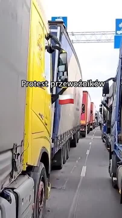 ������ �������� �� �������