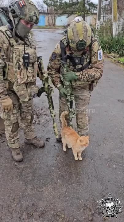 "������������� ����" ������ �� ������� ����� � "���� �����"