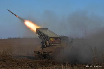:     Bradley    ,     Leopard 2