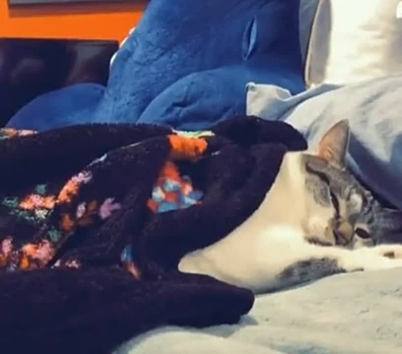 � ��� ��� � �����������..