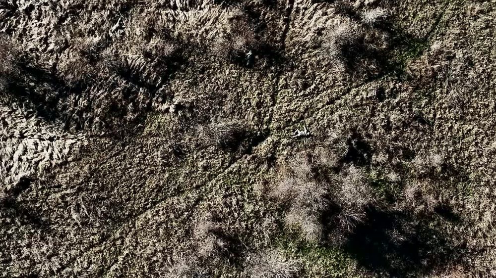 Наглядная демонстрация "успехов ВСУ" в Крынках