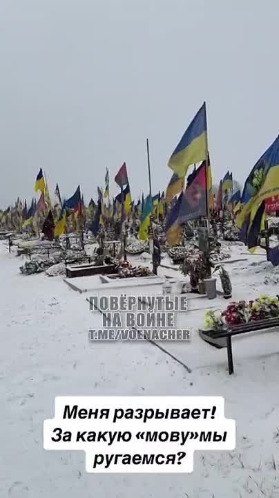 �������. �������, �� ������� ��������� � �������� �������� ������ ��������� ��� ������������ ��� 500 �����