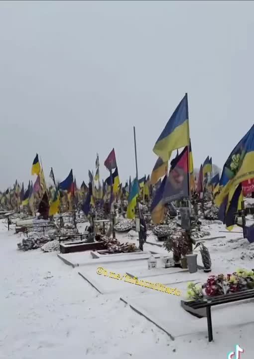 Только одно из воинских захоронений Харькова по состоянию на декабрь 2023 года