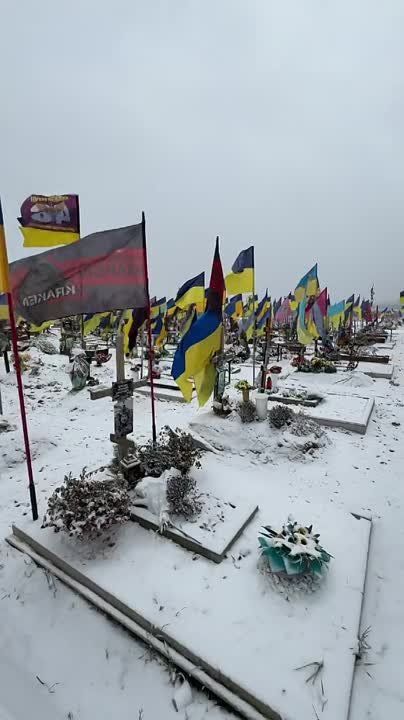 Артём Шейнин: Сегодня много где вижу это ужасное видео с кладбища в Харькове