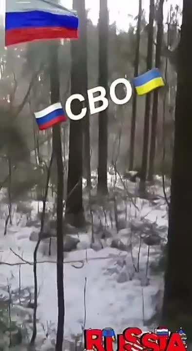 "������" �� ��� ������� ������