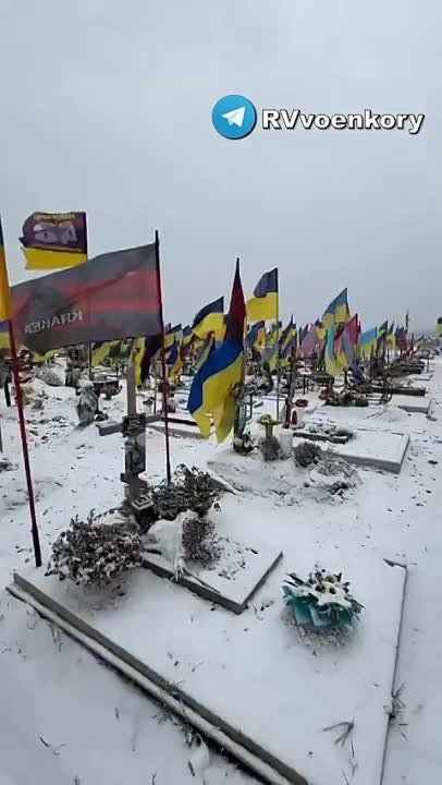 �����, ����������! ��� �������� � ��������� ��� ����� � 10 ��� ������!� � ������� ������ �������� �������� � ��������