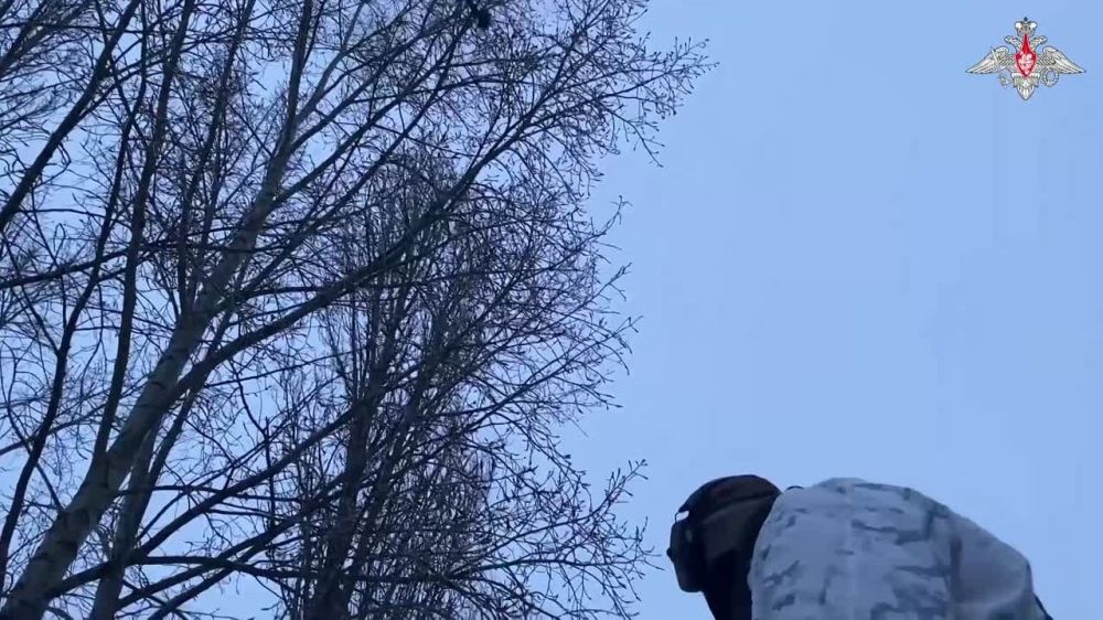 ���������� ��: ���������� ����������� ����� ������ ���������� �������������� ���� ��� �� ��������� �����������