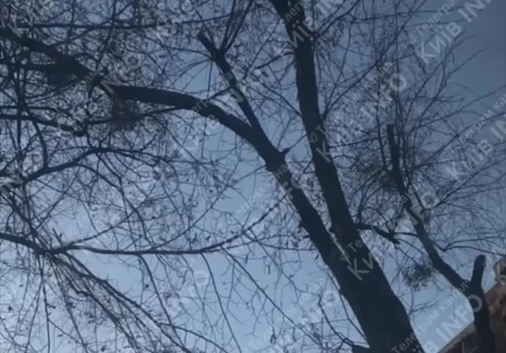 ����������� �������� �������� �� �������