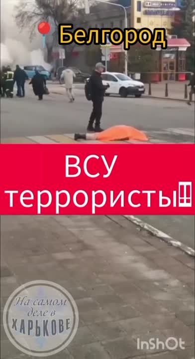 ������ ������� ������ ���� ����������