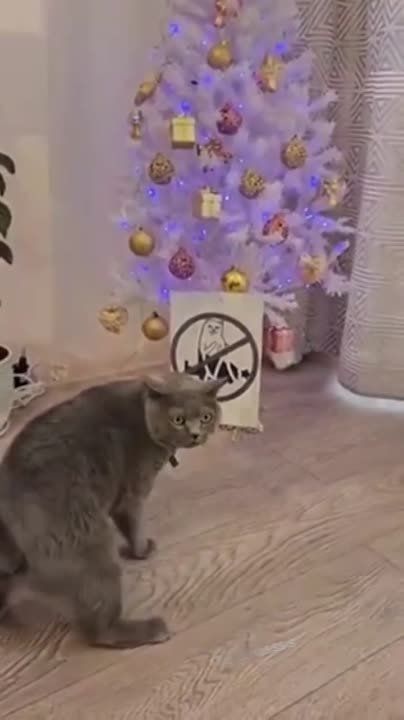 ������� ����� ��������)..