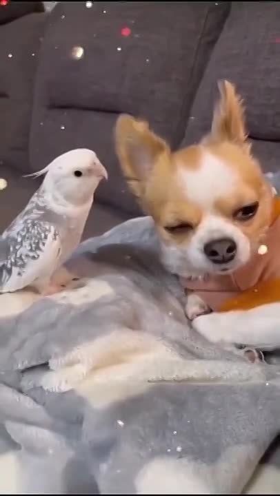 � ������ ����� � ������������� ���!